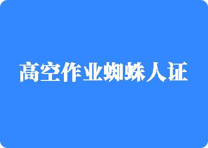 美女操逼一区高空作业蜘蛛人证